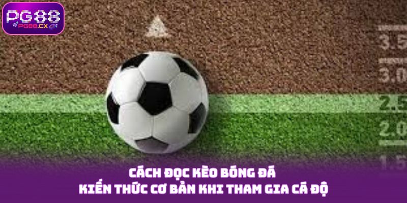 Cách Đọc Kèo Bóng Đá - Kiến Thức Cơ Bản Khi Tham Gia Cá Độ