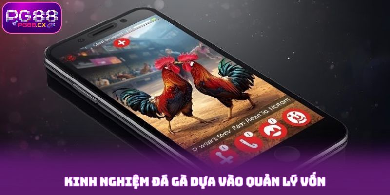 Kinh nghiệm đá gà dựa vào quản lý vốn