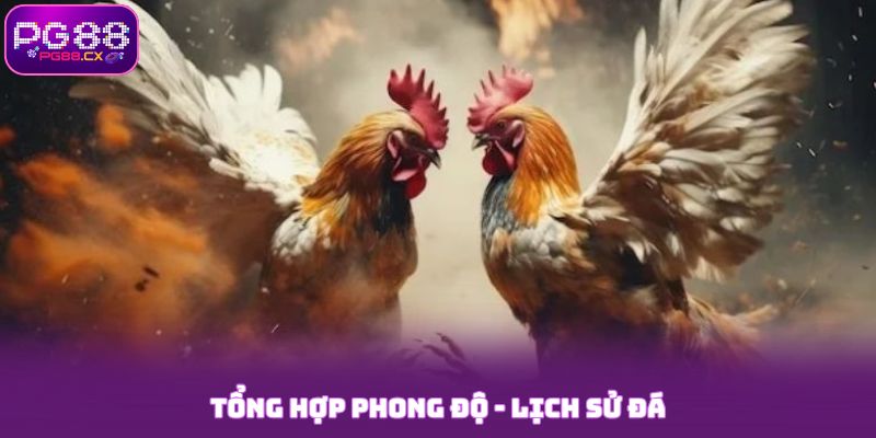 Tổng hợp phong độ, lịch sử đá